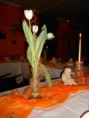 /album/restauracia/dscn2019-jpg/